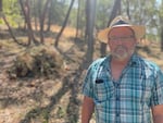 Retired U.S. Forest Service firefighter Rich Fairbanks stands in front of a thinning project funded by the new Infrastructure Law on private land near Jacksonville, Ore.