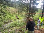 In this image provided by the Baker County Sheriff's Office, responders aid in rescue efforts after a vehicle went into an embankment on U.S. Forest Service Road 39 on June 3, 2024, in Oregon. A dog helped his owner get rescued after the crash by traveling nearly four miles to the campsite where the man was staying with family, which alerted them that something was wrong, authorities said. (Baker County Sheriff's Office via AP)