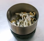 Psilocybin mushrooms, about to be tested at Rose City Laboratories, March 17, 2023. Rose City is the first lab in the state to apply for a license and meet Oregon Health Authority requirements for testing the purity and potency of psilocybin mushrooms.