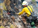 Firefighters work to mop up hot spots within the Stouts Creek Wildfire.