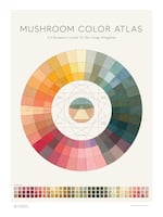 Designer Julie Beeler created the Mushroom Color Atlas to display the range of dye colors that can be coaxed from mushrooms. This was the look of the atlas as of Oct. 28, 2022.