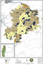 A map showing protected ares in the Elliot State Forest. Marbled murrelet sites are blue, spotted owl circles are tan, and unique protected areas are yellow. 