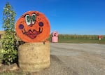 About 150 painted hay bales dot the 57-acre visitors’ farm, all happy and welcoming, says owner Brian Bauman: “No scary faces, no red eyes, no sharp teeth.”
