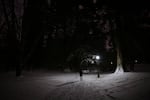 During a calm in the winter storm, a woman takes a night stroll through Portland's Laurelhurst Park. 