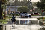 A man walks out of a street with water flooded from Hurricane Helene Friday, Sept. 27, 2024, in New Port Richey, Fla.