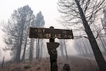 A burned sign is shown in the middle of a charred area.