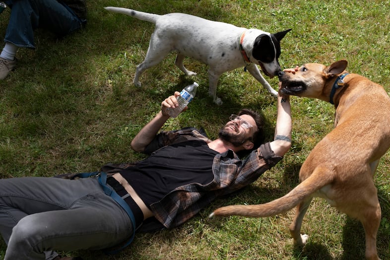 Christian Strand lies on the ground and plays with dogs Lilly Billy, top left, and Bean during filming.