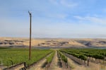 Cropland in south-central Washington, near the Columbia River, in an undated photo.