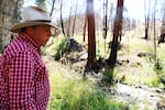 Gordon Larson watches a stream go by on his Grant County ranch. 