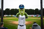 The 7-foot-tall Pickles mascot, Dillon.