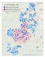 In this illustration of the coast range from Tillamook to Coos Bay, provided by the Oregon office of the U.S. Fish and Wildlife Service, blue dots and red dots represent barred owls and spotted owls, respectively.