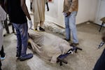 People surround the bodies of two shelling victims as they lie on a corridor floor.