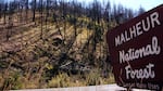 The 2015 Canyon Creek Complex fire burned more than 110,000 acres, much of it in the Malheur National Forest. On Wednesday, the Grant County Sheriff's Office arrested a U.S. Forest Service employee for a planned burn that jumped to private property, a notable move that surfaces longstanding tensions over land management in rural Oregon. 
