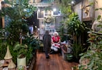 A visitor chats with Sandra Claus at her cookie baking station inside the Somewhere That's Green plant shop in Bend on Dec. 7, 2024.