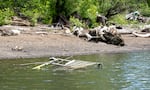 A nearly sunk metal shopping cart close to the river's shore