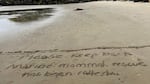 Beachgoers have been asked to stay at least 50 feet away from animals poisoned by toxic algae because of the risk that the sea creatures may turn aggressive.