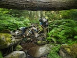 Biologists from Oregon State University survey for trout and amphibians in the H.J. Andrews Experimental Forest. Tucked in the Cascade Mountain Range in western Oregon, this long-term ecological research site is one of the most studied old-growth ecosystems on the planet and has laid the foundation for how we understand forests worldwide.