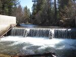 The last remaining concrete dam on Whychus Creek. 