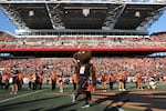 Oregon State mascot Benny the Beaver walks on the field before an NCAA college football game against UC Davis Saturday, Sept. 9, 2023, in Corvallis, Ore. Oregon State won 55-7.