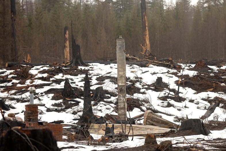 A chimney stands with other charred trees near Breitenbush Hot Springs, March 5, 2021. The area was destroyed by the Beachie Creek and Lionshead fires in 2020.