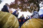 The Pacific Giant Vegetable Growers competed during the weigh-in of their massive pumpkins. Attendees climbed on top of the largest pumpkins that weighed up to 1800 pounds. 