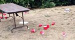 FILE - Red solo cups and beer containers litter a fraternity house lawn in this file photo.
