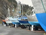 Fishing boats line the dock at Port Orford. Sept. 2, 2026.