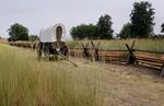 A small covered wagon sits empty on a dirt path surrounded by tall grass.