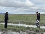Stillaguamish Tribe officials Scott Boyd, left, and Jason Griffith, examine newly restored habitat at the mouth of the Stillaguamish River on Dec. 19, 2025.