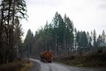 A truck carrying logs drives on a road leading into and out of Falls City, Ore.