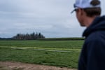 Jon Iverson, third generation famer at Iverson Family Farms, looks out onto a field of planted and fertilized rye grass on March 31, 2026 in Woodburn, Ore.