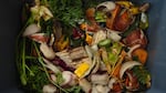 Put too many food scraps in the trash, and you could face a $1 fine under Seattle's new proposed curbside composting rules.