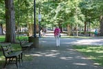 FILE - Portland's South Park Blocks in a July 2021 file photo. The park blocks are within the current Clean & Safe District.