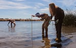 U.S. Environmental Protection Agency scientists Rochelle Labiosa, right, and Lil Herger examine the Columbia River for toxic algae as Jason Pappani leans over to reach into the water.