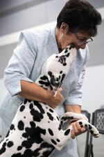 Meg Callea celebrates a first place win in the nonsporting owner-handled category with her dog Lilith. Callea has been working with dalmatians for the past 50 years. The Rose City Classic Dog Show was held at the Portland Metropolitan Exposition Center Jan. 15-19, 2020.