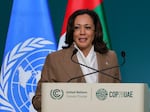 Vice President Harris speaks to leaders at the United Nations climate summit in Dubai on Dec. 2, 2023.