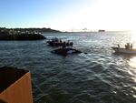 Boats guide a fiberglass orca into the Port of Astoria's East Mooring Basin.