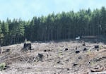 Clearcut on Weyerhaeuser land with log truck in distance, Millicoma Tree Farm, Western Oregon.