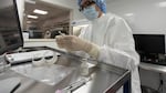 A pharmacist labels syringes in a clean room where doses of COVID-19 vaccines will be handled on Wednesday, Dec. 9, 2020, at Mount Sinai Queens hospital in New York.