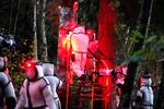 Washington State Department of Agriculture workers, wearing protective suits and working in pre-dawn darkness illuminated with red lamps, vacuum a nest of Asian giant hornets from a tree Saturday, Oct. 24, 2020, in Blaine, Wash. 