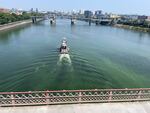 A tug motors through the algae bloom in the Willamette River as it passes through downtown Portland. Aug. 16, 2023.