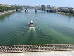 A tug sails through a harmful algae bloom in downtown Portland. Aug. 16, 2023