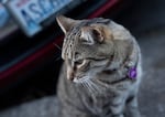 Huxley sits on East Jewett Boulevard, the town's main street.