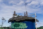 Summer heat has been known to melt water tanks during the summer in Rio, which runs from December to March. Pictured is the water tank at Luis Cassiano's house. He covered the tank with bidim, a lightweight material conducive for plantings that will keep things cool.