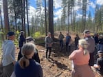 A group gathers for a public tour on May 29, 2025 to see a part of the Upper Wenatchee Pilot Project, the first project undertaken by the North Central Washington Forest Health Collaborative in partnership with the U.S. Forest Service.