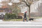 A woman walks her dogs down 13th Avenue in the Sellwood neighborhood during a snowstorm in Portland, on Thursday, Dec. 8, 2016.