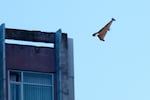 A Russian drone attacks a building during Russia's massive missile and drone air attack in Kyiv, Ukraine, on Tuesday.