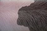 A close-up of Louie's haircut prior to showtime.