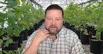 Kratom plants cultivated for research frame University of Florida medicinal chemist Dr. Chris McCurdy as his customized background display during a Zoom interview with a reporter.