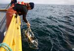 A deck hand lowers scientific equipment into the Pacific to check the health of scanners sitting on the ocean floor